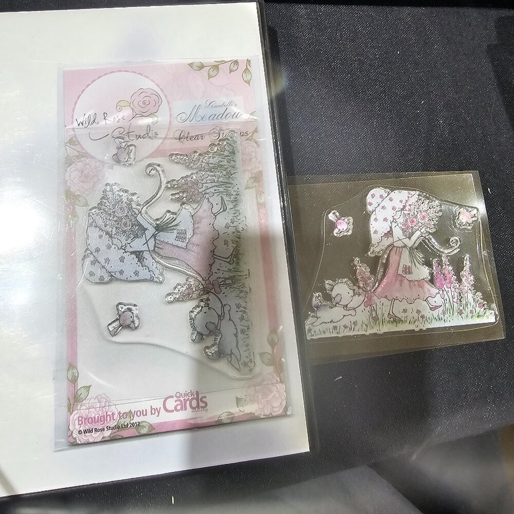 Scrapbooking clear stamp LOT** Wild Rose Studio plus More baby, family